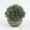 D, variant on 1 Pack 12inch Mini Artificial Potted Fake Plants for Home Decor, Indoor Small Faux Topiaries for Room, Office Desk, Bathroom Greenery Decoration, Perfect for Home Decorative Gift