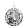 thumbnail image 3 of Reversible Cancer Zodiac Sign Charm Coin Pendant Necklace in Solid Gold (16 Inches), 3 of 3