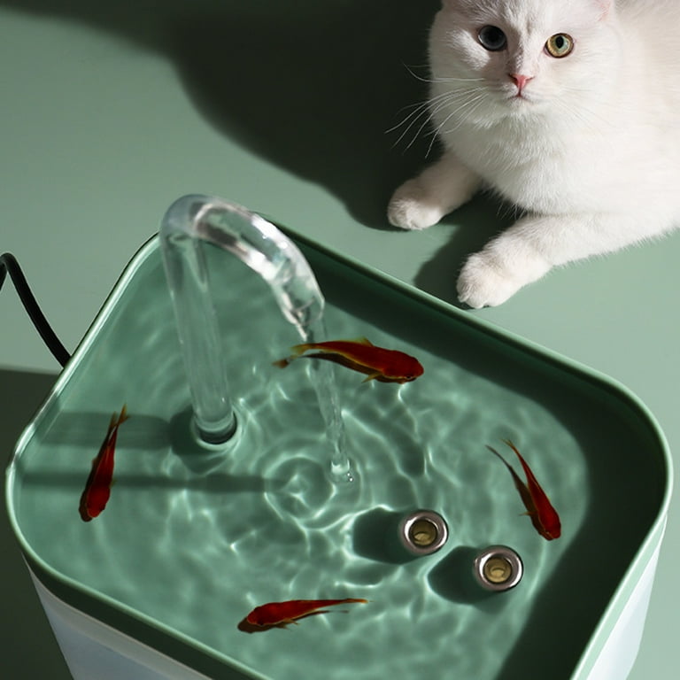 Aurora top pet fountain