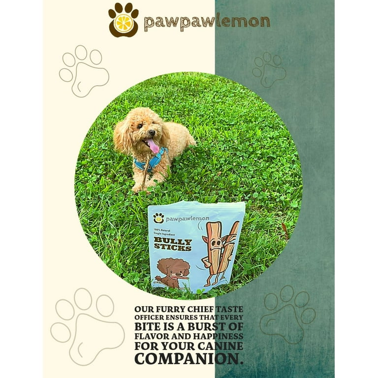 pawpawlemon Organic Beef Pizzle Bully Stick Dog Chew 6 inch Pack of 5 Single Ingredient Standard Thickness with a Surprise Inside C28 Walmart