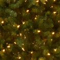 thumbnail image 2 of Árbol de Navidad Dunhill Fir de National Tree Company, 7.5 pies, 2 of 7