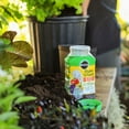 thumbnail image 4 of Miracle-Gro Shake N Feed All Purpose Plant Food - 453g, 4 of 6
