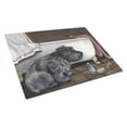 thumbnail image 1 of Cairn Terrier Bath Time Glass Cutting Board - Large, 1 of 1