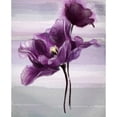 thumbnail image 3 of Art Atelier Alliance 20x24 Black Modern Framed Museum Art Print Titled - Ethereal Tulip, 3 of 5