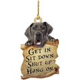 thumbnail image 1 of ATTOEATTOE Double-Sided Animals Pendant Decoration Car Accessories Bag Accessories Car Hanging Ornament Rearview Mirror Pendant Birthday Gift Funny Auto Decoration Accessories Creative GiftST-001, 1 of 5