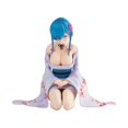thumbnail image 1 of Soft Rem Re:Zero kara Hajimeru Isekai Seikatsu modelo de chica desnuda Sexy, figura de acción de Anime Hentai, juguetes de colección para adultos, regalos de muñecas Fivean unisex, 1 of 2