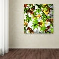 thumbnail image 3 of Trademark Fine Art "First Signs" Canvas Art by Beata Czyzowska Young, 3 of 3