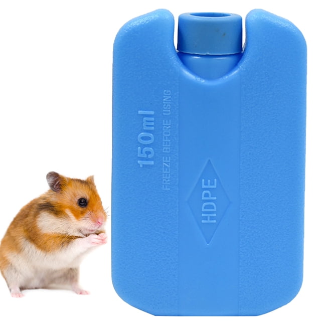 Bloc Réfrigérant Portable pour Lunch, Bloc Réfrigérant de Cuisine, Bloc Réfrigérant pour Congélateur pour Hamster