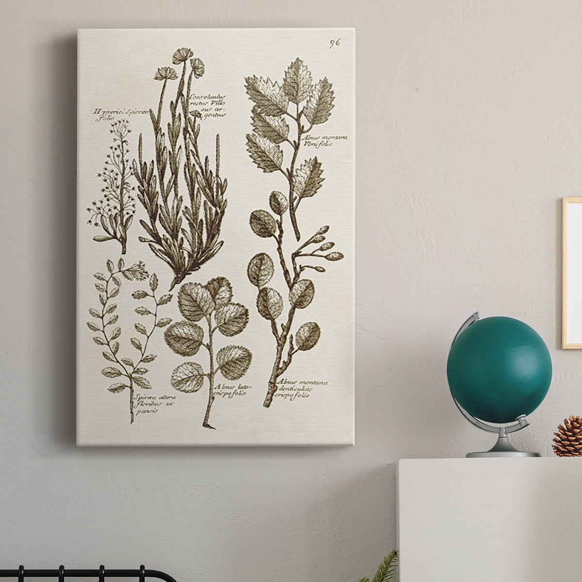 Sepia Botanical Journal VIII Premium Gallery Wrapped Canvas - Ready to Hang