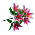 thumbnail image 2 of Arreglos Florales Gloria 6 uds Rosa, 2 of 9