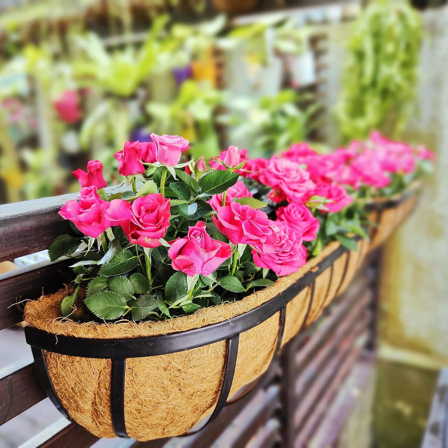 3Pack 24in Window Boxes Deck Baskets with Coconut Liner Railing Planter Hanging Flower Planter for Indoor Outdoor