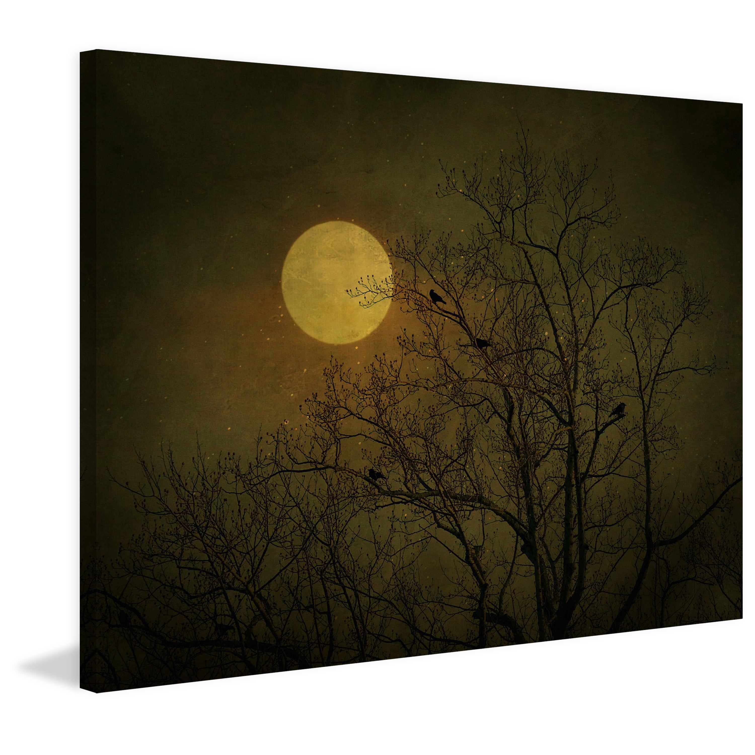 Marmont Hill "Starry Night" by Robert Dickinson Painting Print on Canvas
