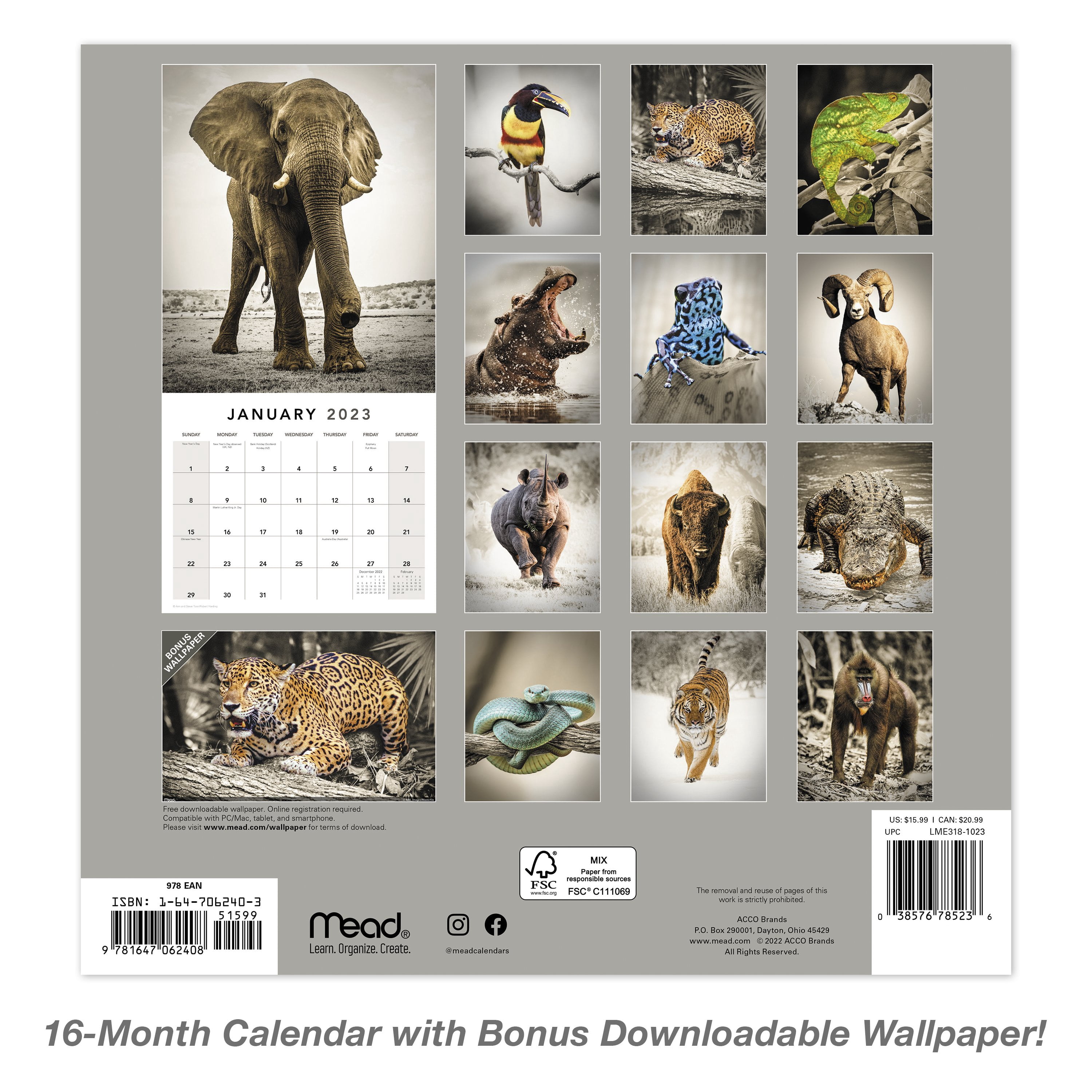 2023 Wall Calendar, Extraordinary Earth, 12" x 12" by Mead (WMET1810-23)