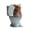 A, variant on kjfeif Pig Statue Mini Pig Figurine, Resin Home Decor, Lucky Animal Garden Statue for Micro Landscape (Pig Squatting on The toilet)