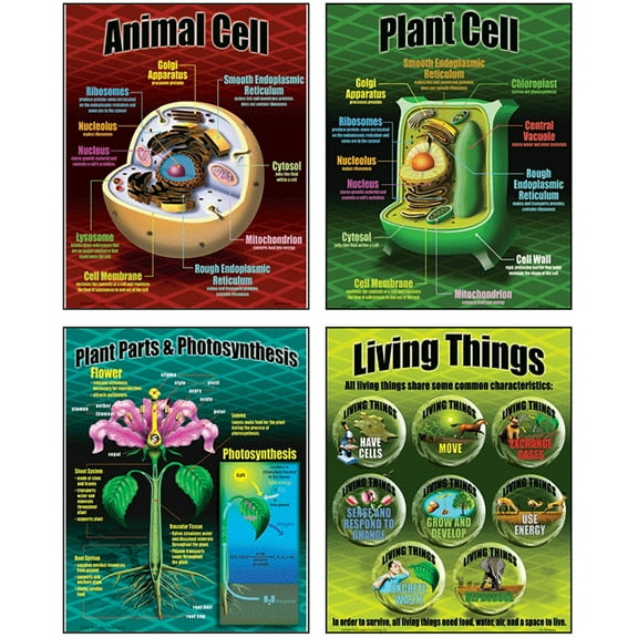 McDonald Publishing Life Science Posters, Set of 4