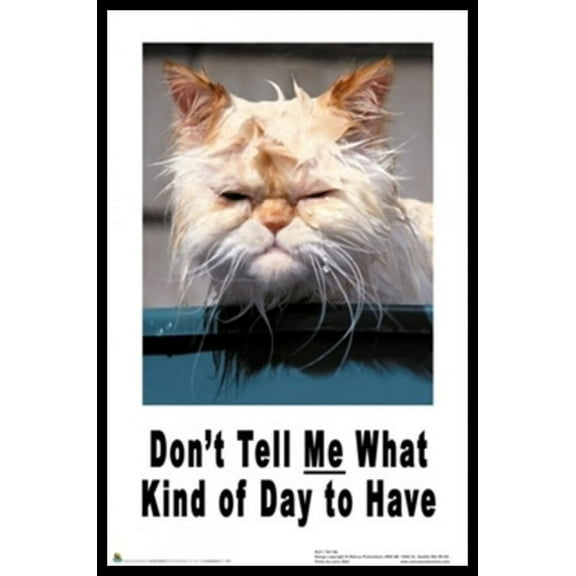 Don't Tell Me What Kind of Day to Have - Cat Laminated & Framed Poster (24 x 36)
