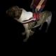 thumbnail image 5 of Correa para el pecho para mascotas,Arnés para perros, 5 of 9