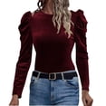 thumbnail image 2 of Women's Velvet Tops Lightweight Solid Color Round Neck Long Sleeved Velvet Leisure Easy Cozy Comfortable Blouse for Women, 2 of 3