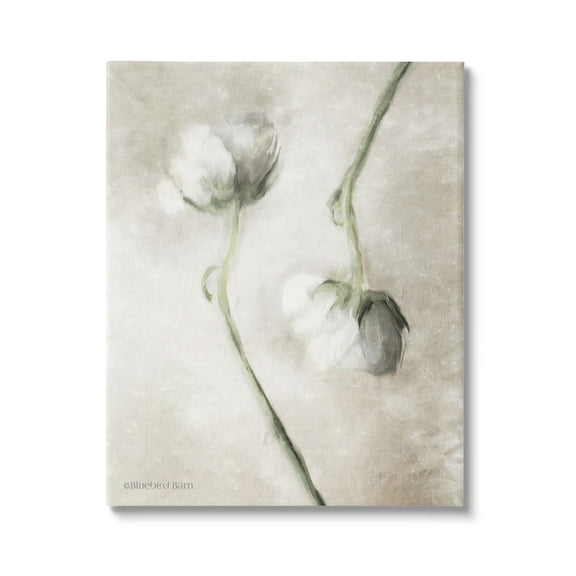 Stupell Industries White Floral Stems Botanical Vintage Rose Blossom Painting,16 x 20, Design by Bluebird Barn
