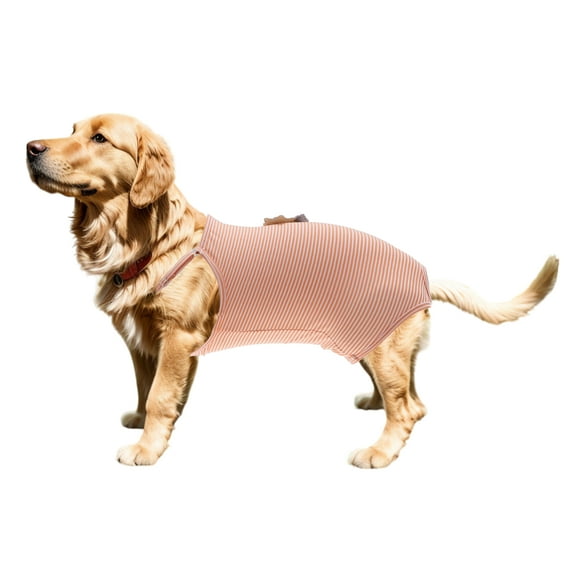 Unique Bargains Washable Reusable Dog Diapers Physiological Pants with Adjustable Strap Small Medium Dogs Cats S Orange