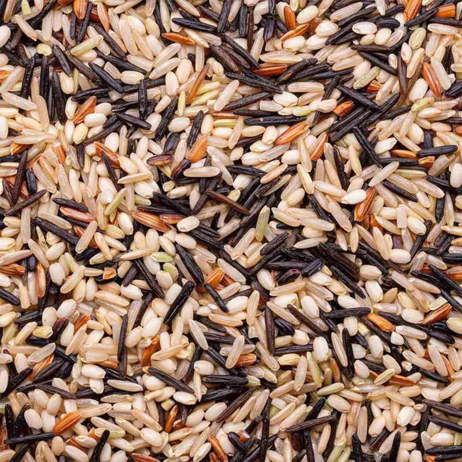 Lundberg Family Farms Organic Wild Blend® Rice - 6 ct