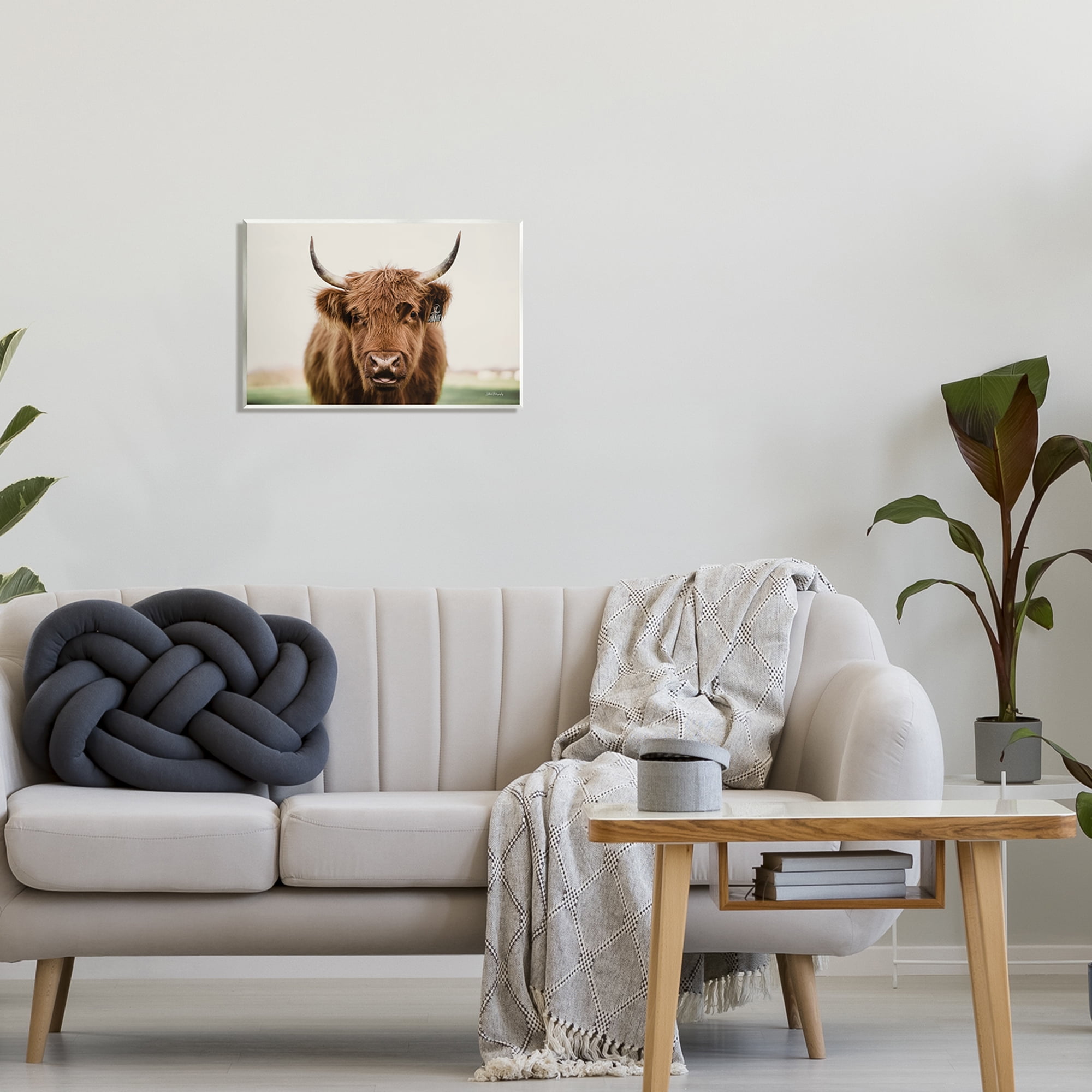 Stupell Industries Farmhouse Cattle Photography Animals & Insects Photography Unframed Art Print Wall Art, 19 x 13