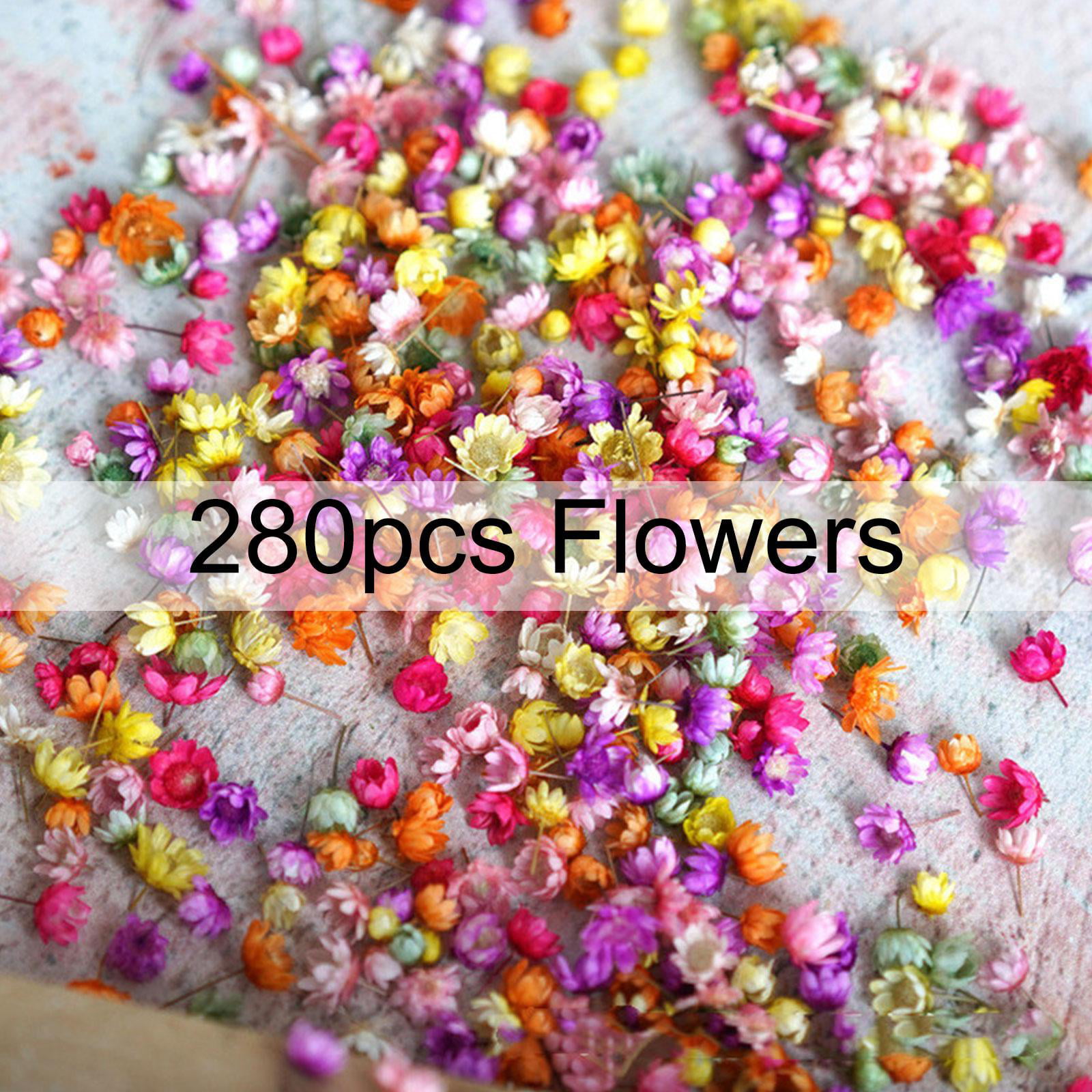 100/200pcs Dried Flowers for DIY Epoxy Resin Candle Making Jewelry – Kaijae  Designs