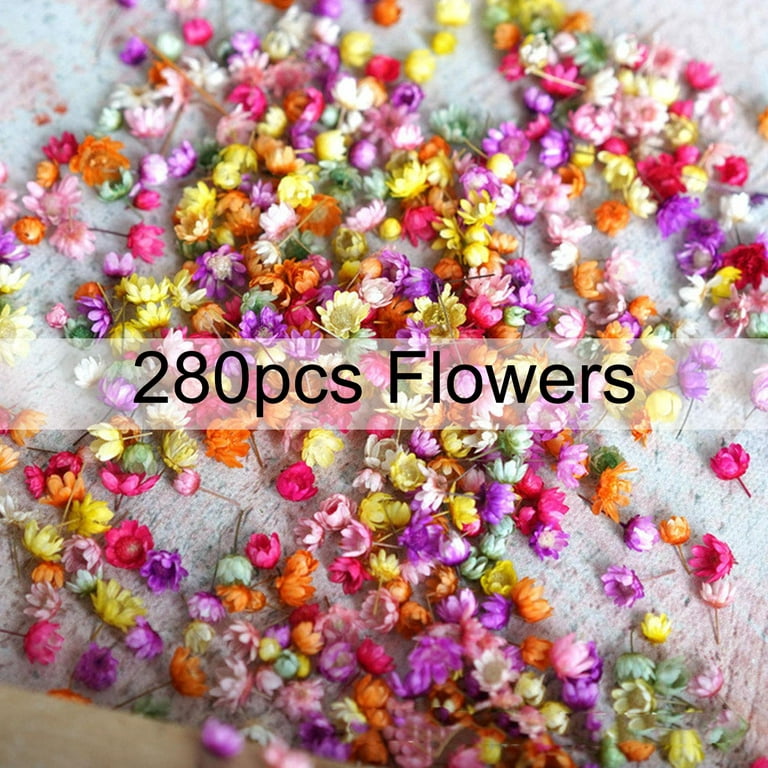 LUCISKY 92 Pcs Purple Dried Pressed Flowers Real Natural Leave Petals for  DIY Resin Candle Jewelry Nail Crafts