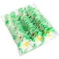 thumbnail image 5 of 50Pcs 3.5" Foam Hawaiian Frangipani Artificial Plumeria Flowers Hat Hair Clips for Party Beach Vacation Home Wedding Decoration(Green), 5 of 5