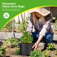 thumbnail image 5 of Bolsas de cultivo HealSmart Nonwoven de 5 galones, paquete de 6 unidades, para jardín, 5 of 5