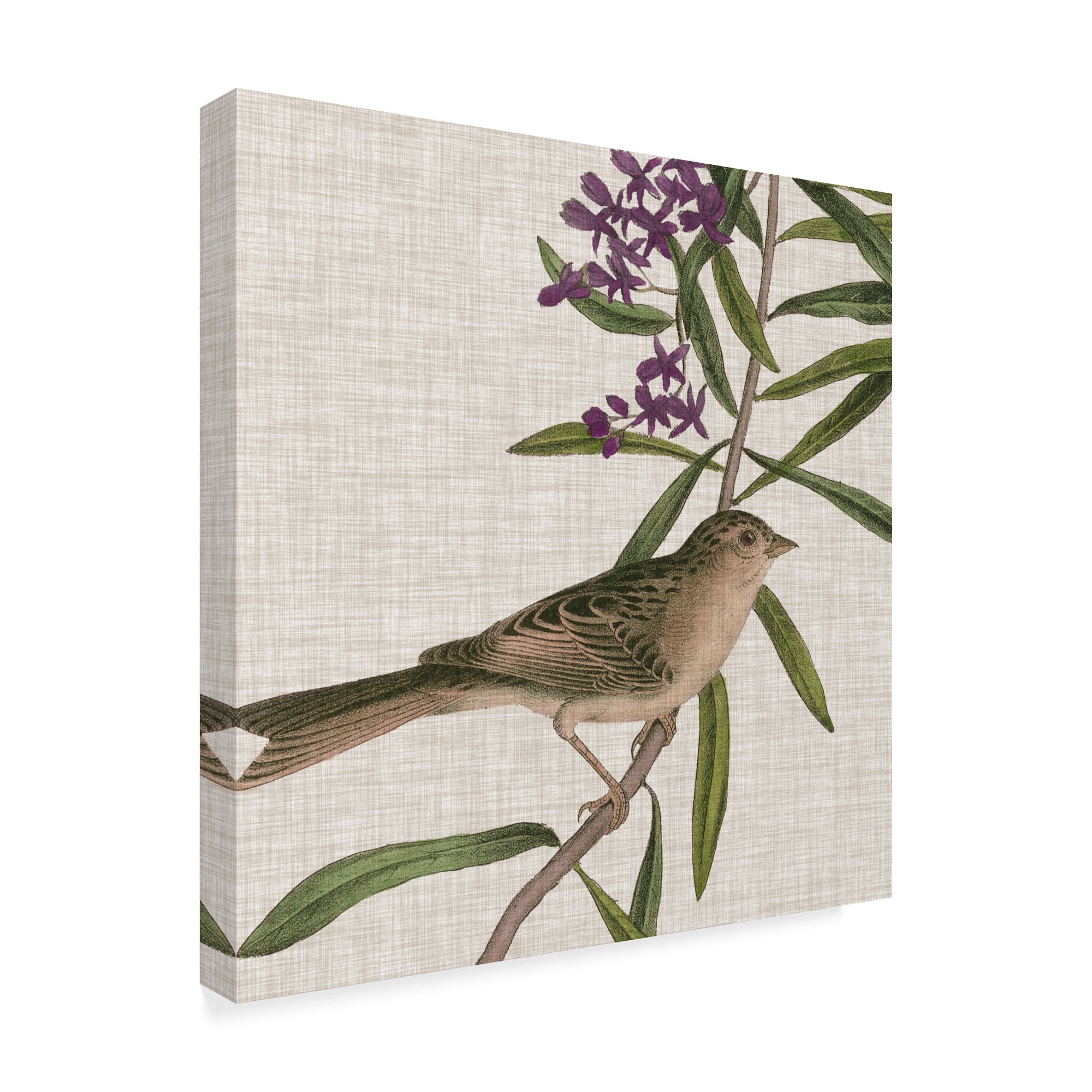 Trademark Fine Art 'Avian Crop IX' Canvas Art by John James Audubon