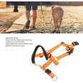 thumbnail image 4 of Gentle Leader for Dogs, Dog Head Halter with Safety Strap, Adjustable Prevent Pulling Dog Head Halter Dog Head Harness Perfect for Leash and Harness Training Medium and Large Dog Sizes(Orange), 4 of 8