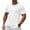 White, variant on Men's Sports T-Shirts Short Sleeve Crew Neck Solid Color Lightweight Breathable Quick Dry Tops Fitness Workout (XL, White)