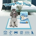 thumbnail image 5 of Tolobeve Training Pads, Dog & Puppy Pads,S, 13x18 in,100 Count,Disposable Dog Pee Pads, 5 of 11