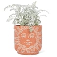 thumbnail image 3 of Sun Face Planter, 3 of 4