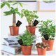 thumbnail image 3 of Cestas de fertilizante para cultivo de plantas, 25 piezas de cestas de fertilizante de malla, cesta de herramientas de jardín de plástico reutilizable, cesta de caja para plantación de jardín agrícol TUNC Sencillez, 3 of 5