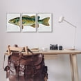 thumbnail image 2 of Stupell Lake House Bass Fish Wildlife Animals & Insects Painting White Framed Art Print Wall Art, Set of 3, 2 of 8