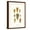 Brown Frame, variant on Art.com Cone Shells Art Print by John Mawe, 12" x 18"