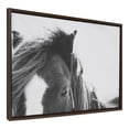 thumbnail image 2 of Kate and Laurel Sylvie Noble Black and White Framed Canvas Wall Art by Alicia Abla, 23x33 Brown, Country Farmhouse Animal Wall Décor, 2 of 6