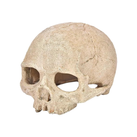 Resin Skull Ornament, Halloween Tabletop Skull Figurine Statue, Gothic Home Accent Decor for Mantel, Shelf, Desk, Halloween Party