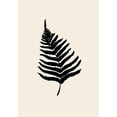 thumbnail image 2 of Artographie Studio 24x32 Black Ornate Wood Framed with Double Matting Museum Art Print Titled - Fern, 2 of 4