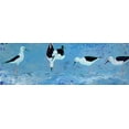 thumbnail image 2 of Bond, Angela 24x11 Black Ornate Wood Framed with Double Matting Museum Art Print Titled - Long Legged Waders, 2 of 4