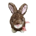 thumbnail image 2 of Way to Celebrate Small Tiedye Plush , brown  7inch, 2 of 3