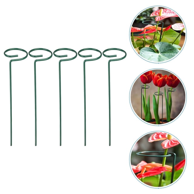 Nestingho 5Ud Estacas Para Apoyo De Plantas Y De Jardín En Ligero Y Duradero