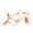 15-20cm, variant on Natural Aquarium Driftwood Background Wood Ornament Tree Trunk Root Decor for Fish Tank, Reptile Terrarium & Aquascape