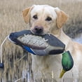thumbnail image 4 of Mimics Dead Duck Bumper Toy For Training Puppies Or Hunting Dogs Teaches Mallard Waterfowl Game Retrieval, 4 of 8