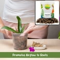 thumbnail image 4 of 100% Organic Orchid Potting Bark (2 Quarts), All-Natural USA-Sourced Pine Bark Orchid Mix Additive, 4 of 9