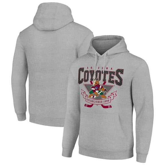 Men's Starter Heather Gray Arizona Coyotes Team Logo Graphic Fleece Tri-Blend Pullover Hoodie