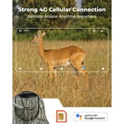 Reolink KEEN Cellular Trail 2K 4 Megapixels Solar Powered Game Camera with 360° Pan Tilt, Black