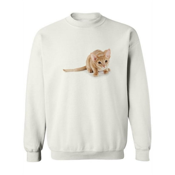 British Kitten On The Hunt Sweatshirt Women -Image by Shutterstock, Female 5X-Large